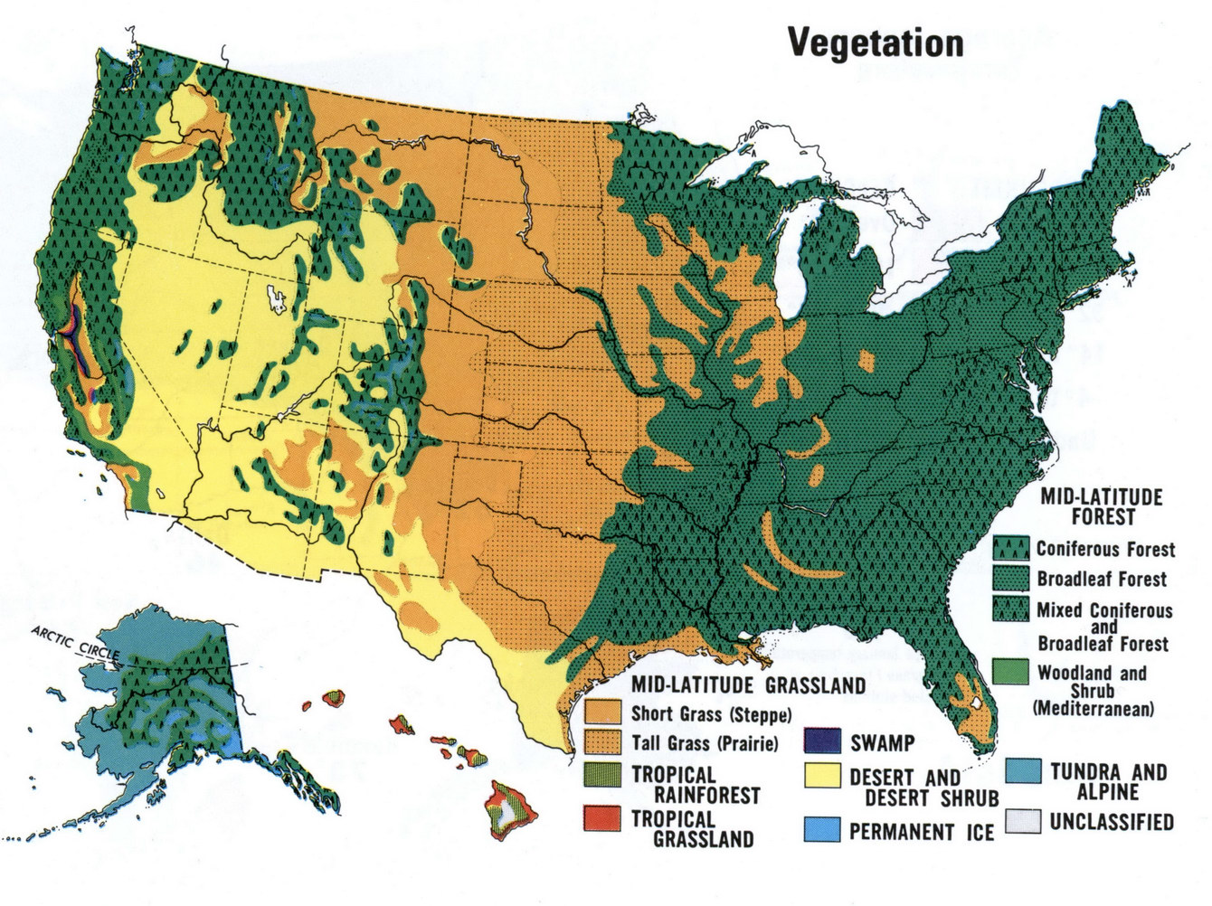 Map of vegetation of USA
