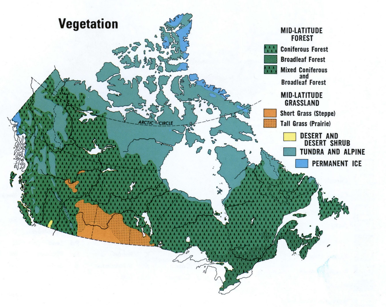 Map vegetation of Canada